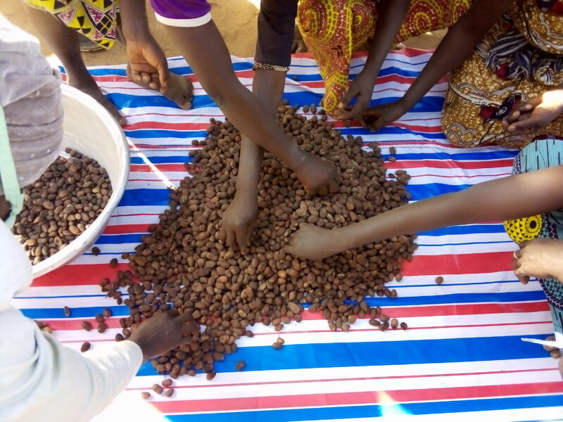 IMG 20210113 094526 0 Sortieren der Karitenuesse