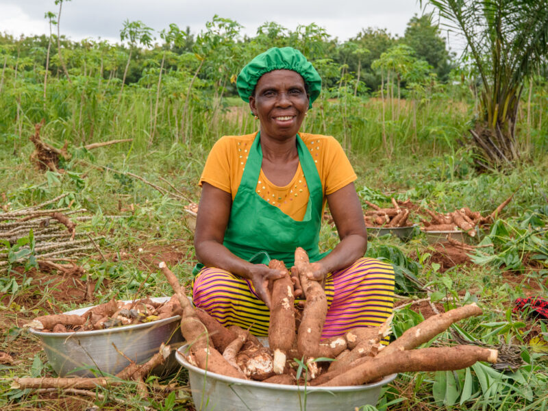 Productrice de manioc