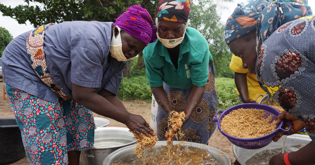 Savalou Brücke Le Pont