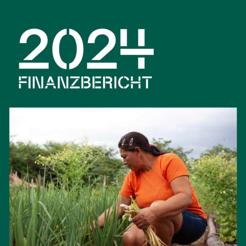 Finanzbericht final kl Seite 1